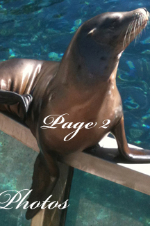 Honeymoon Photos Page 2